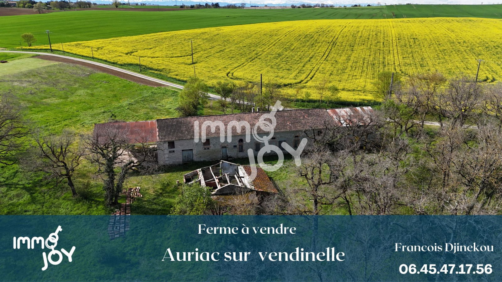 Vente Ferme à Auriac sur Vendinelle Immojoy